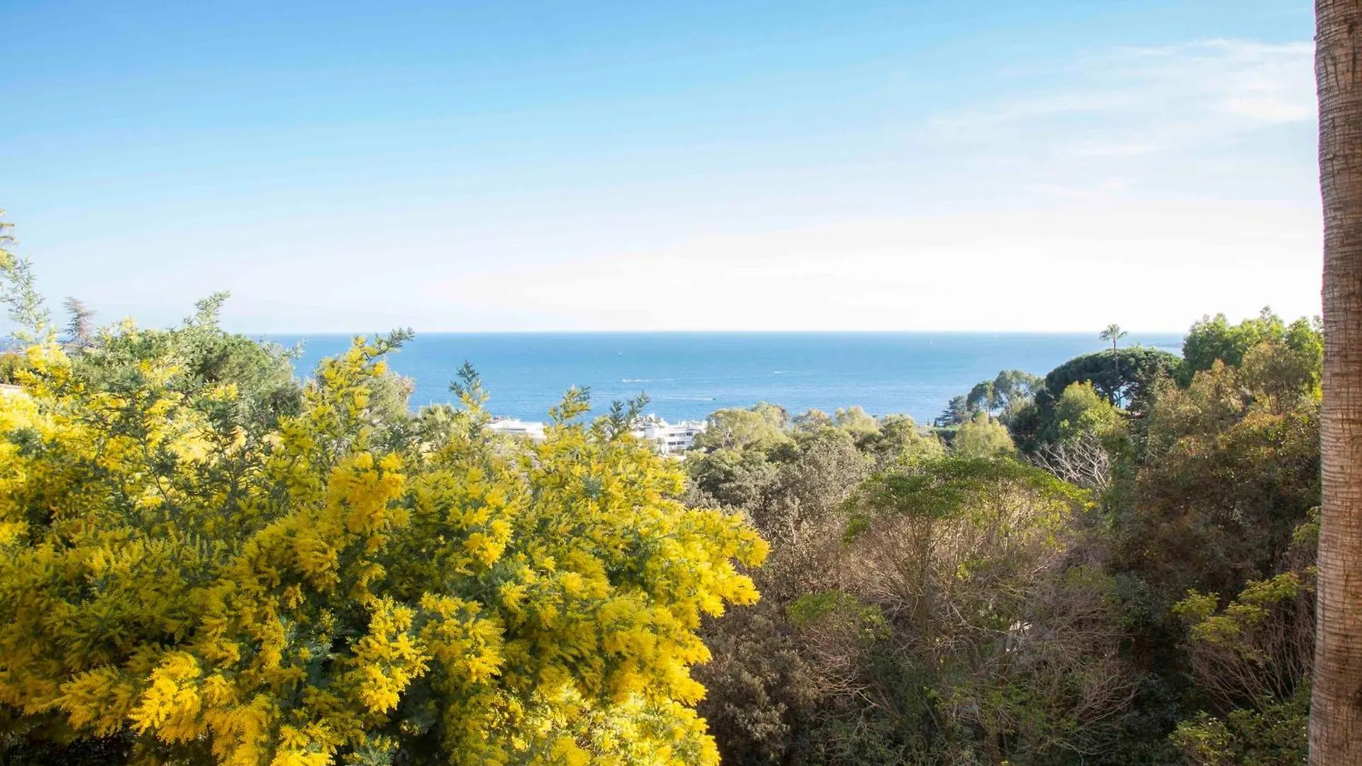 Exceptional Super-Cannes Glaieuls With Sea View Swimming Pools Jacuzzi Vallauris Fransa